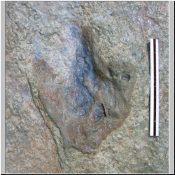 100_1287(07-30-2009p) mod.JPG